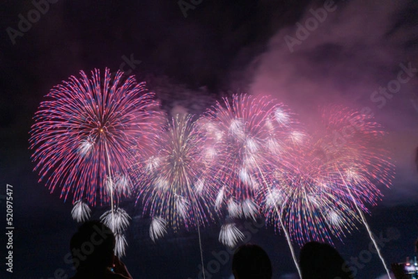 Fototapeta 長岡花火【新潟県長岡市】日本三大花火