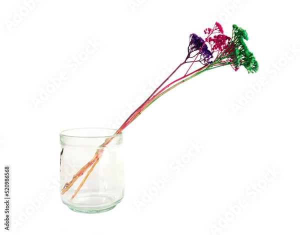 Fototapeta Colorful flowers in glass isolated on white background in minimalist style