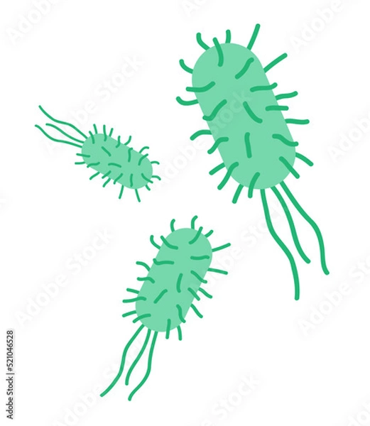 Fototapeta Escherichia coli (e. coli) bacteria flat icon