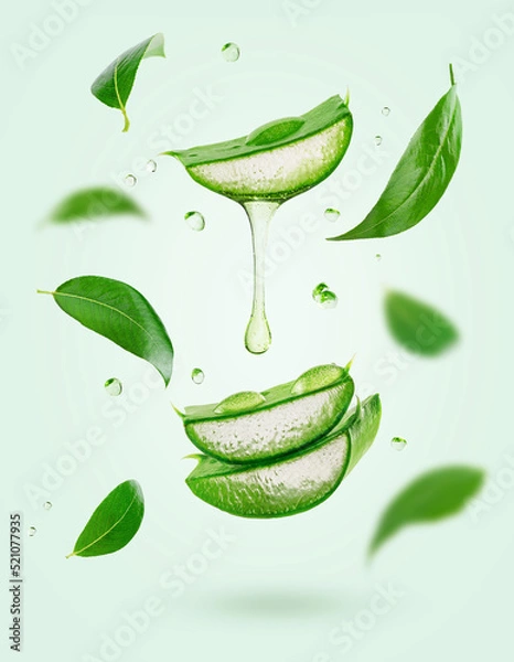 Obraz Vertical composition of flying tea leaves and aloe vera on green background