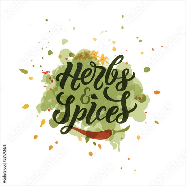 Obraz Herbs and spices handwritten text. Modern brush ink calligraphy, hand lettering typography. Design for emblem, poster, logo, print. Spice shop, store, market template. Vector illustration