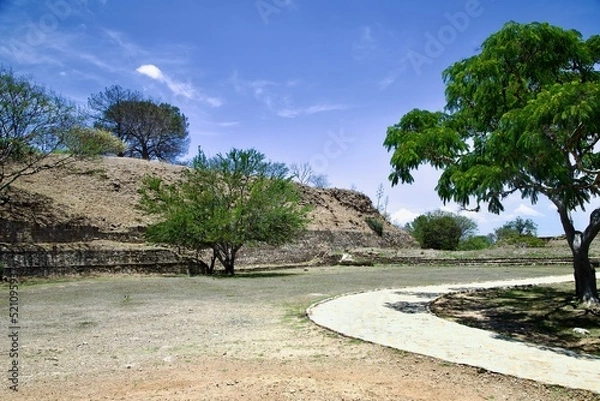 Obraz trees on the beach
