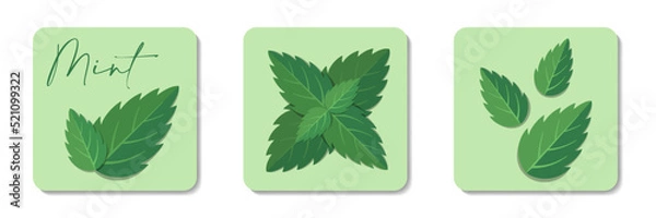 Fototapeta Mint leaves flat icons collection. Stylized flat vector elements with green lettering on pastel background. Best for web, print, menu decoration, logo creating and branding design.