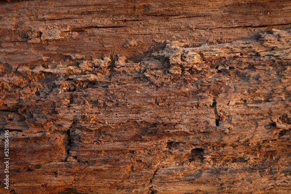 Obraz old rusty metal texture