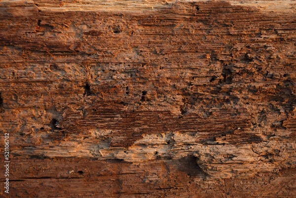 Obraz old wood texture