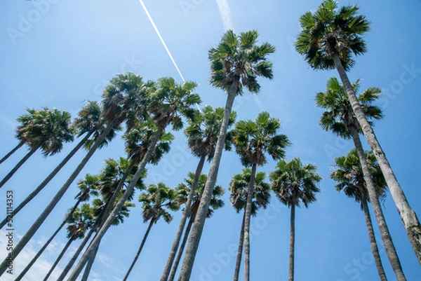 Obraz 六甲アイランド