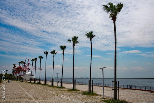 Obraz 六甲アイランド