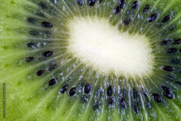 Fototapeta Kiwi section