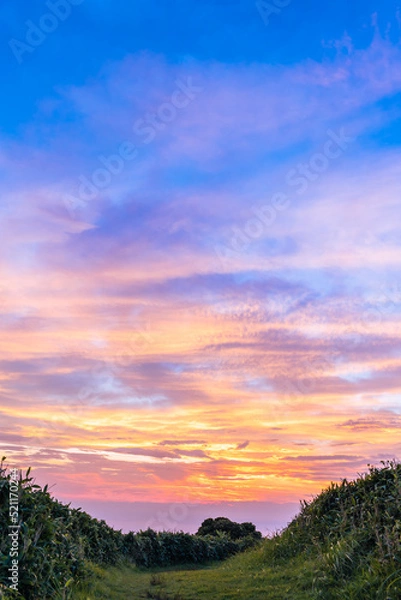 Obraz 夏の伊豆半島　高原のトレッキングコースから見る夕景
