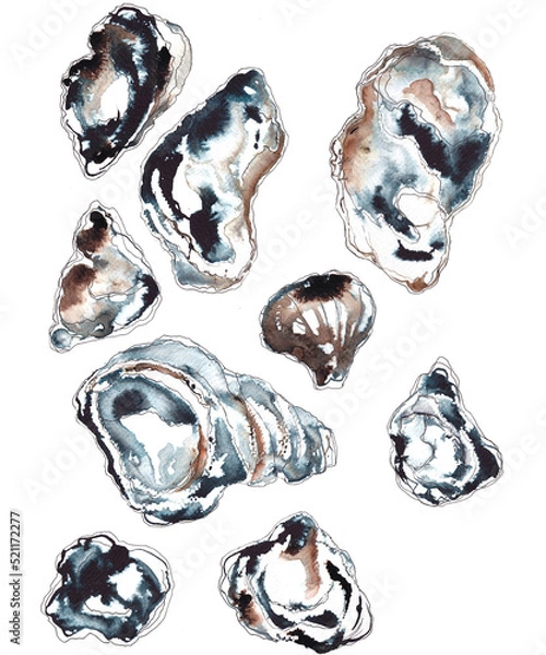 Obraz Oyster shells loosely abstract painted with watercolors and line, illustration on white background