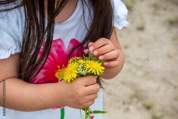 Fototapeta 自分で摘んだ花を抱える女の子