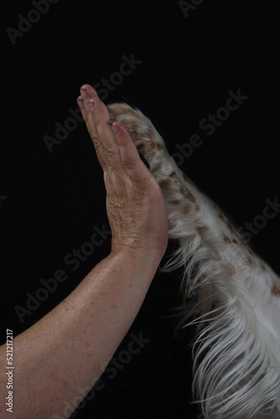 Fototapeta Give me five