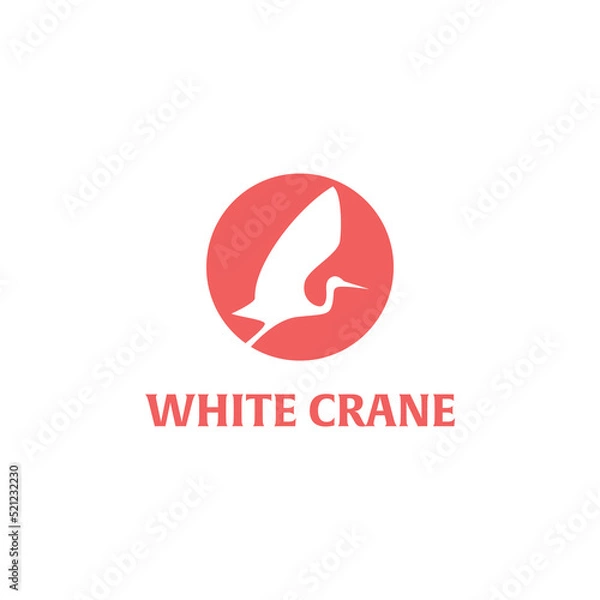 Obraz White Crane Fly