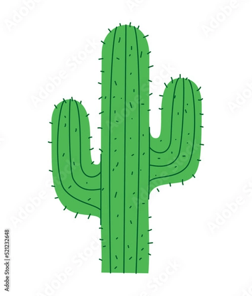 Obraz green cactus design
