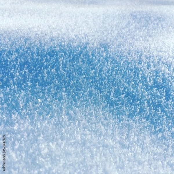 Fototapeta snow frozen covered background, white and blue colors