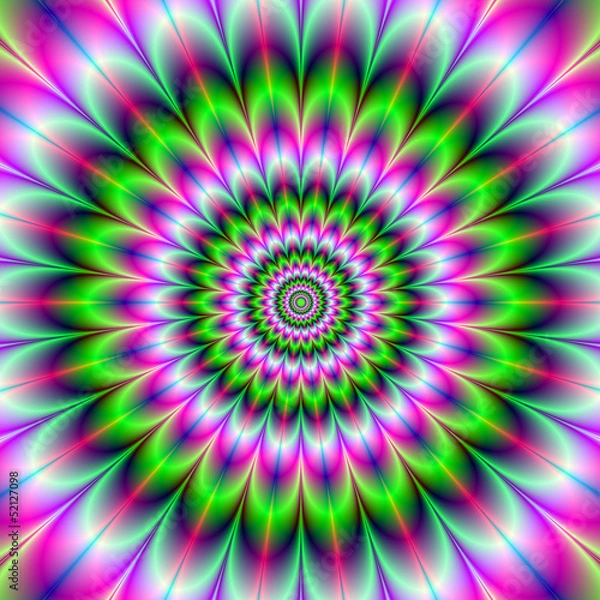 Obraz Pink and Green Rosette