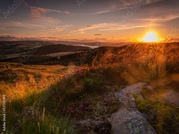Obraz sunset over the field