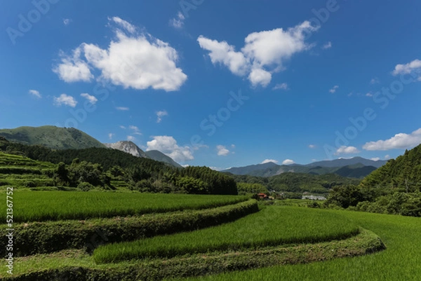 Fototapeta 井手浦の棚田の風景　北九州市小倉南区