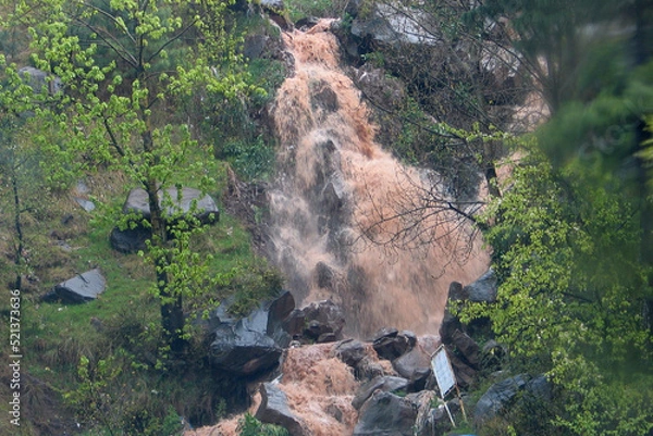 Obraz Waterfall in forest 