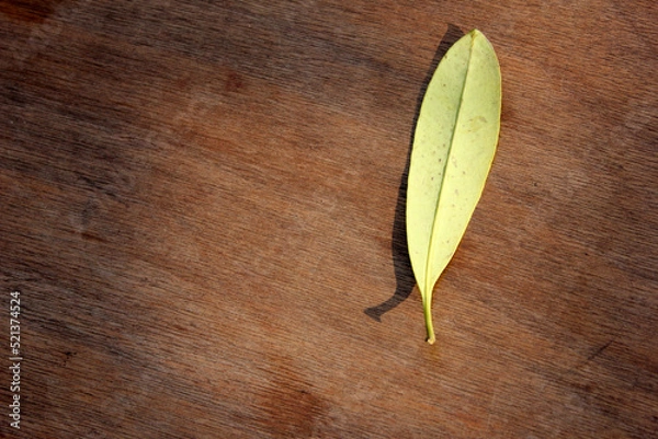 Obraz beans on wooden background