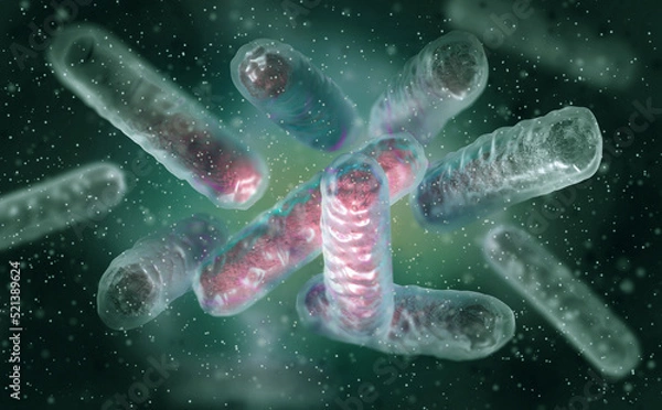 Fototapeta Medical background, Enterobacterales bacterium including pathogens salmonella, E. coli, plague bacillus, proteobacteria, gram negative, 3d rendering