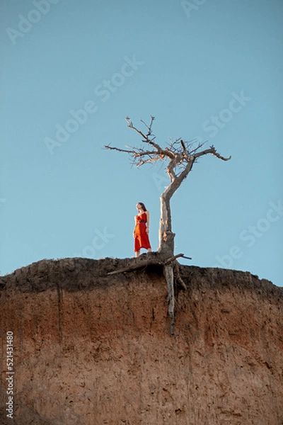 Fototapeta Lonely girl on a cliff near a dying tree