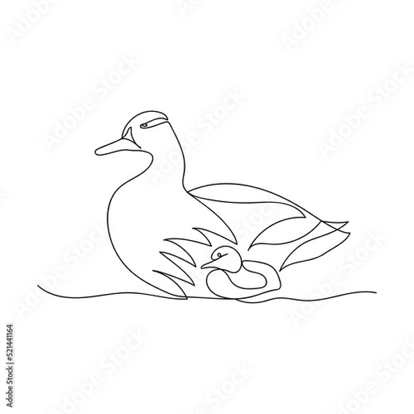 Fototapeta One line Duck and ducklings. Continuous line drawing. Isolated sketch on white background. Vector illustration