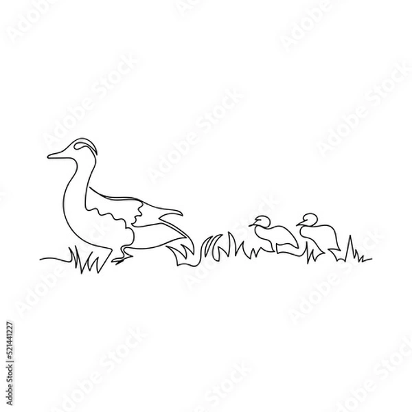 Fototapeta Continuous line drawing Duck and ducklings. Isolated sketch on white background. Vector illustration