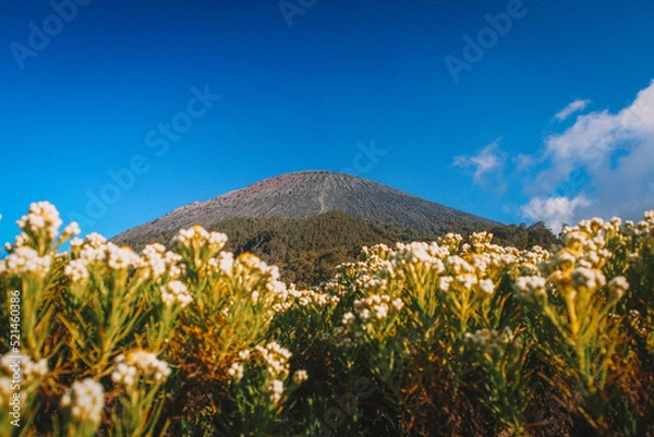 Obraz The highest mountain in Java, Mount Semeru.