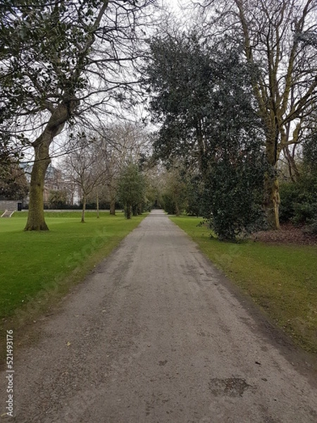 Fototapeta Path in the park on a dark day