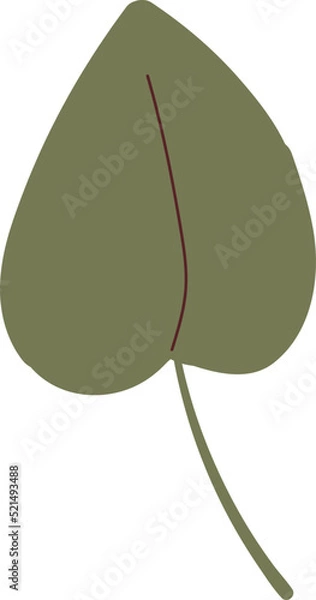Fototapeta Simple autumn leaf in green color. Autumn design element. Vector illustration
