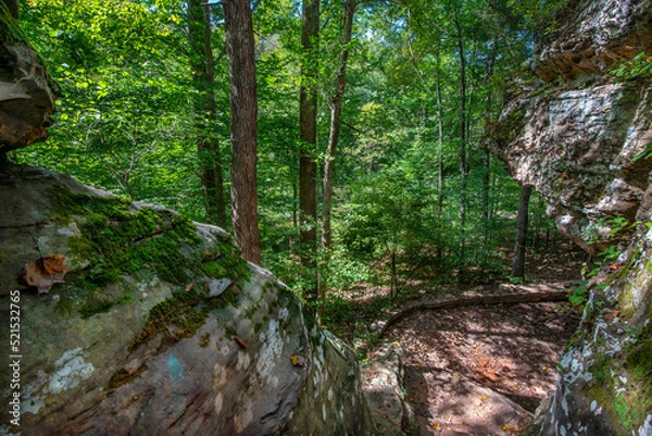 Fototapeta Passage between stone cliffs opening onto a forest