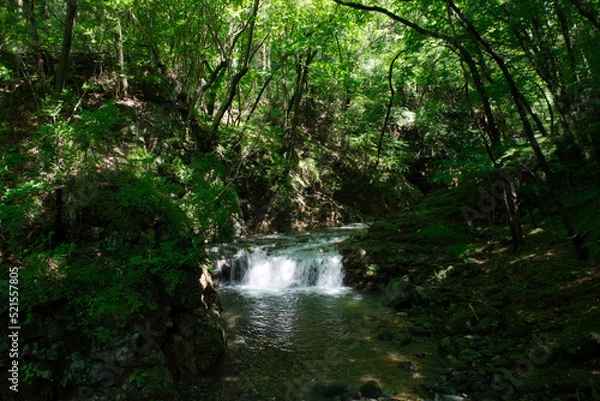 Fototapeta 龍王峡