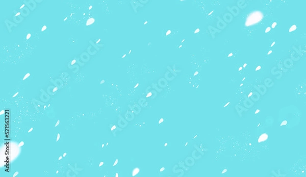 Fototapeta 花吹雪　白