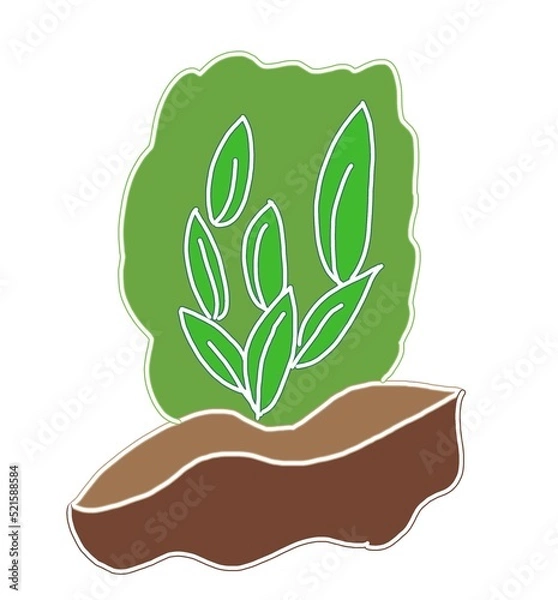 Obraz plant in a pot