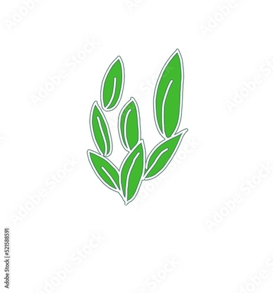 Obraz green leaves icon