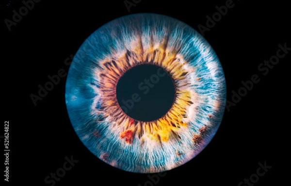 Fototapeta eye iris