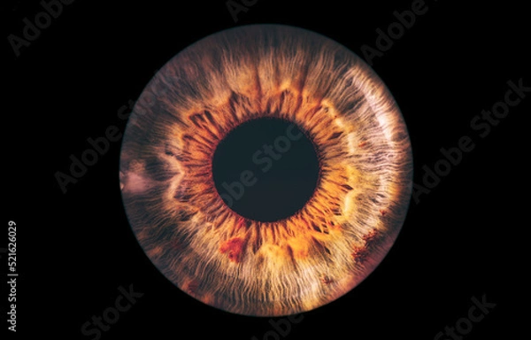 Fototapeta eye iris