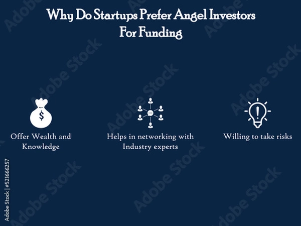 Fototapeta The reason behind the Angel Investors funding preference with icons in an infographic template