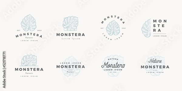 Obraz Hand drawn monstera logo