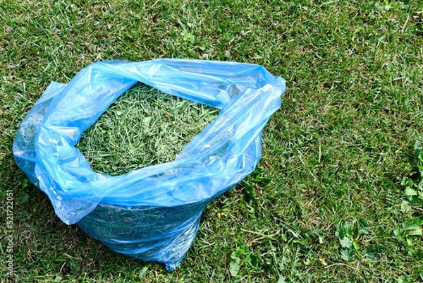 Fototapeta An image of a blue recycling bag full of fresh lawn clippings and ready to be recycled. 