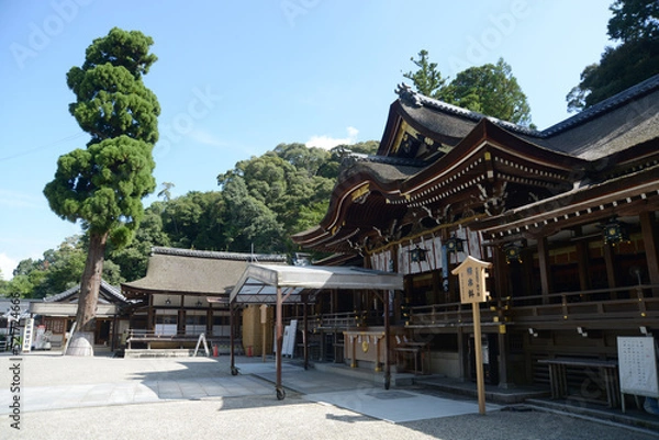 Fototapeta 大神神社　境内と拝殿　奈良県 桜井市