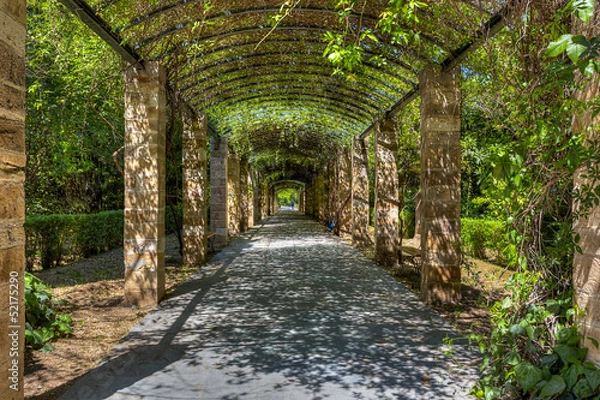 Fototapeta The National Garden of Athens in Greece