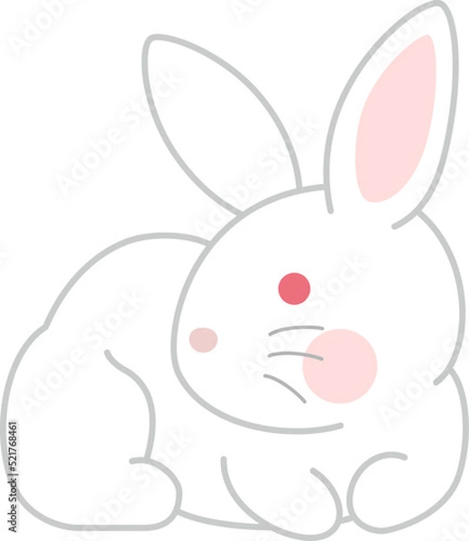 Fototapeta ウサギ　白うさぎ　白背景