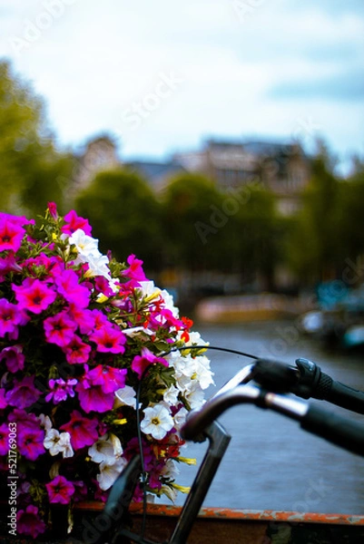 Obraz Fleurs Amsterdam 1