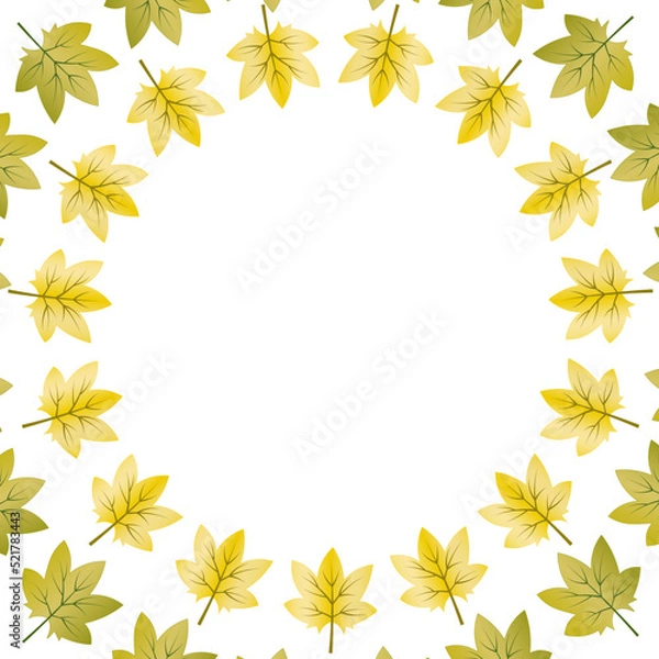 Fototapeta beautiful autumn background with yellow leaves on a light background