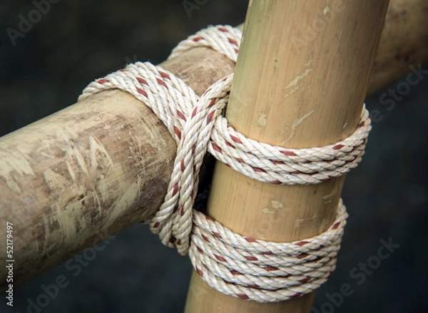 Obraz Square lashing by scouts