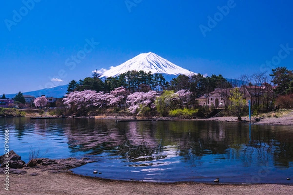 Obraz 河口湖大池公園からの富士山２０２２