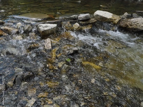 Fototapeta OLYMPUS DIGITAL CAMERA