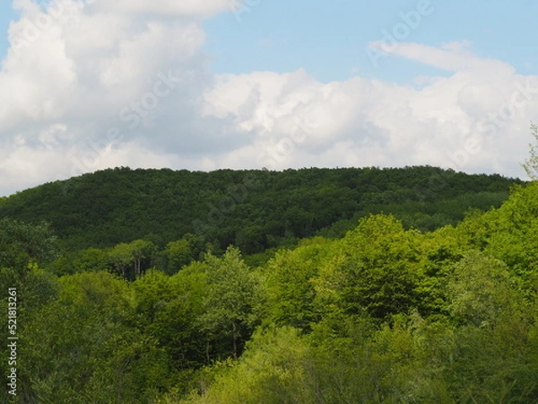 Obraz OLYMPUS DIGITAL CAMERA